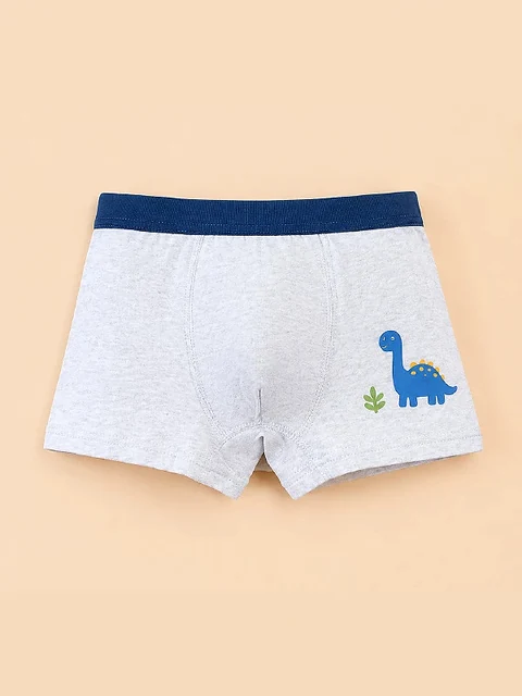 Graue Boxershorts mit einem einzelnen blauen Dinosaurier — ein Teil desselben vierteiligen Sets
