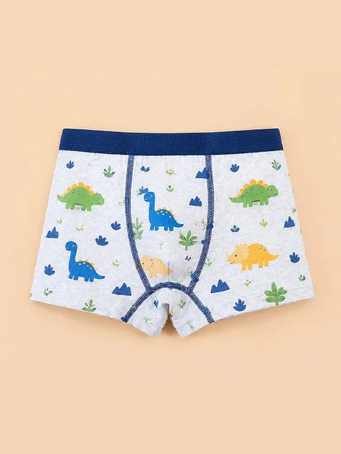 Graue Boxershorts mit bunten Dinosauriern und dunkelblauen Nähten — ein Teil desselben vierteiligen Sets